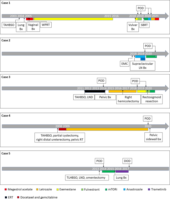 Tsc2 Mutant Uterine Sarcomas With Jazf1 Suz12 Fusions Demonstrate Hybrid Features Of Endometrial Stromal Sarcoma And Pecoma And Are Responsive To Mtor Inhibition Modern Pathology