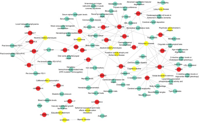 Nature Genetics Review Gwas Nature Genetics Review Gwas