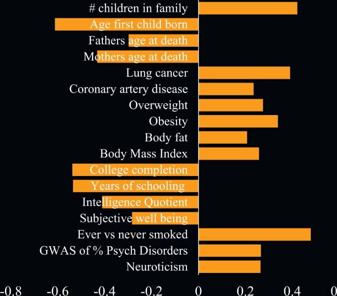 Family Genetics Vital For Understanding >> Genetics Of Attention Deficit Hyperactivity Disorder Molecular Family Genetics Vital For Understanding >> Genetics Of Attention Deficit Hyperactivity Disorder Molecular