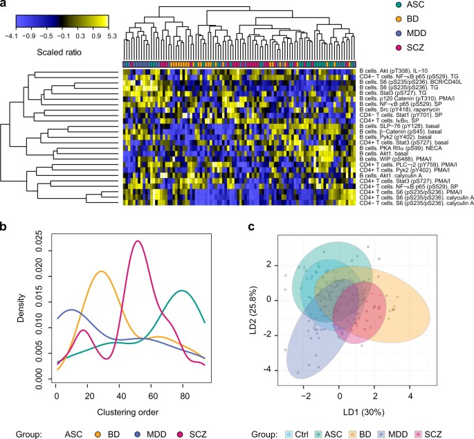 Exploring the neuropsychiatric spectrum using high-content functional analysis of single-cell signaling networks