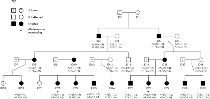 Identification of ADHD risk genes in extended pedigrees by