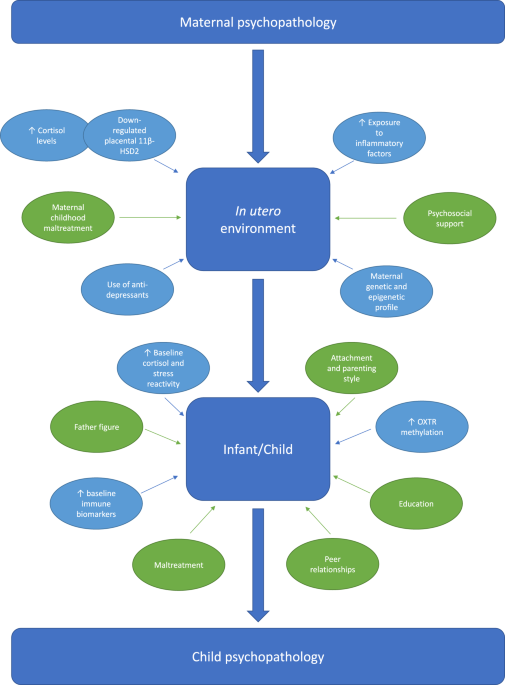 Intergenerational Transmission Of Depression Clinical Observations