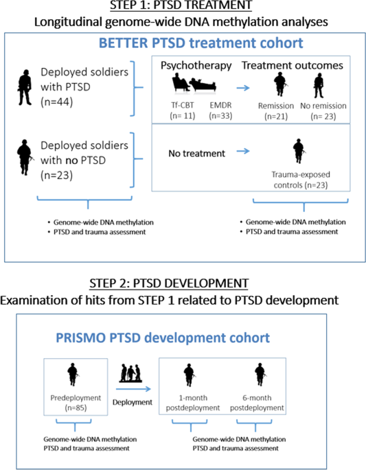 Successful treatment of post-traumatic stress disorder reverses DNA  methylation marks | Molecular Psychiatry