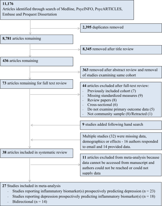The longitudinal associations of inflammatory biomarkers and depression revisited: systematic review, meta-analysis, and meta-regression