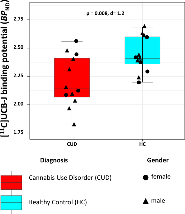 Preliminary in vivo evidence of lower hippocampal synaptic density in cannabis use disorder | Molecular Psychiatry Preliminary in vivo evidence of lower hippocampal synaptic density in cannabis use disorder | Molecular Psychiatry