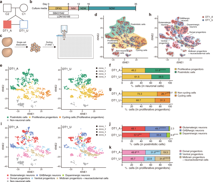 Developmental Excitation Inhibition Imbalance Underlying Psychoses Revealed By Single Cell Analyses Of Discordant Twins Derived Cerebral Organoids Molecular Psychiatry