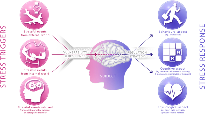 The Science of Resilience:5 Ways Our Brain and Body Adapt to Stress