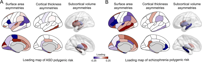 Large-scale analysis of structural brain asymmetries in schizophrenia via  the ENIGMA consortium