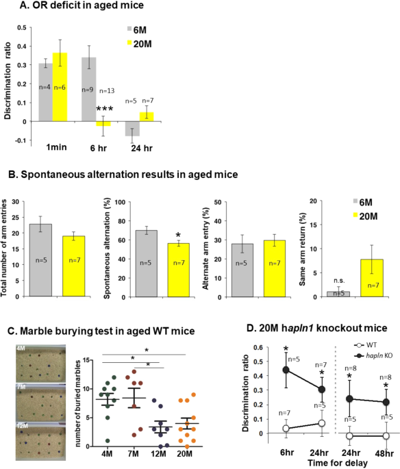 Perineuronal nets (PNNs) are chondroitin sulphate proteoglycan-containing structures on the neuronal surface that have been implicated in the control 