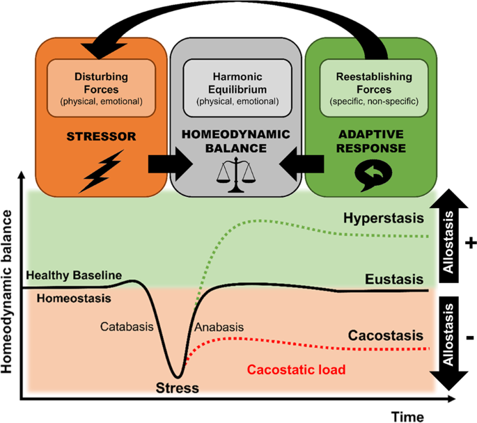 The Neuroendocrinology Of Stress The Stress Related Continuum Of Chronic Disease Development Molecular Psychiatry