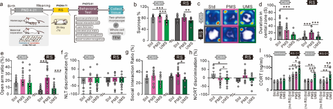 Predictable Maternal Separation Confers Adult Stress Resilience Via The Medial Prefrontal Cortex Oxytocin Signaling Pathway In Rats Molecular Psychiatry Predictable Maternal Separation Confers Adult Stress Resilience Via The Medial Prefrontal Cortex Oxytocin Signaling Pathway In Rats Molecular Psychiatry