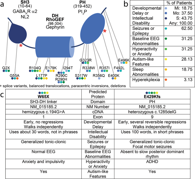 Personalized genetics of the cholinergic blockade of neuroinflammation -  Simchovitz - 2017 - Journal of Neurochemistry - Wiley Online Library