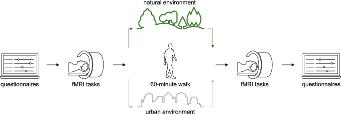 How nature nurtures: amygdala activity decreases as the result of a one-hour walk in nature