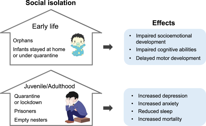 Social isolation and the brain: effects and mechanisms