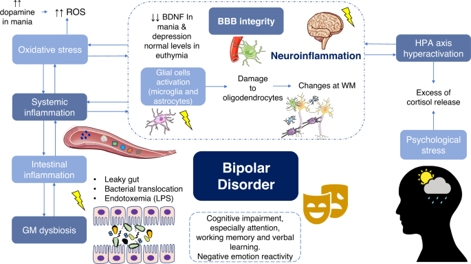 Winter birth and bipolar disorder - NeuRA Library