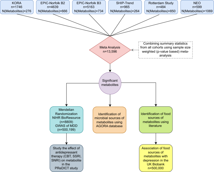 Circulating metabolites modulated by diet are associated with depression | Molecular Psychiatry circulating-metabolites-modulated-by-diet-are-associated-with-depression-molecular-psychiatry