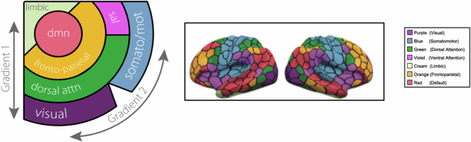 Disruption of macroscale functional network organisation in patients ...
