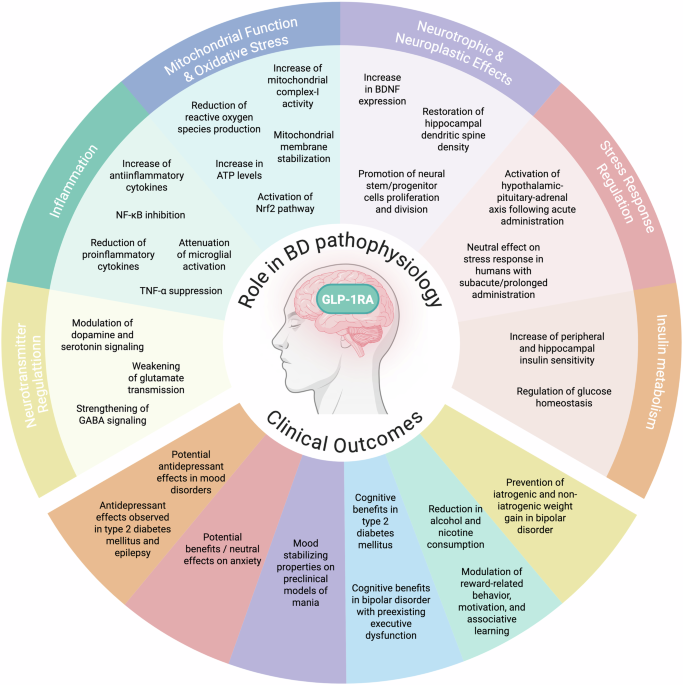 Glucagon-like Peptide-1 receptor agonists as emerging therapeutics in bipolar disorder: a narrative review of preclinical and clinical evidence