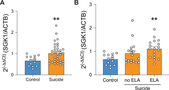 Hippocampal SGK1 promotes vulnerability to depression/trauma