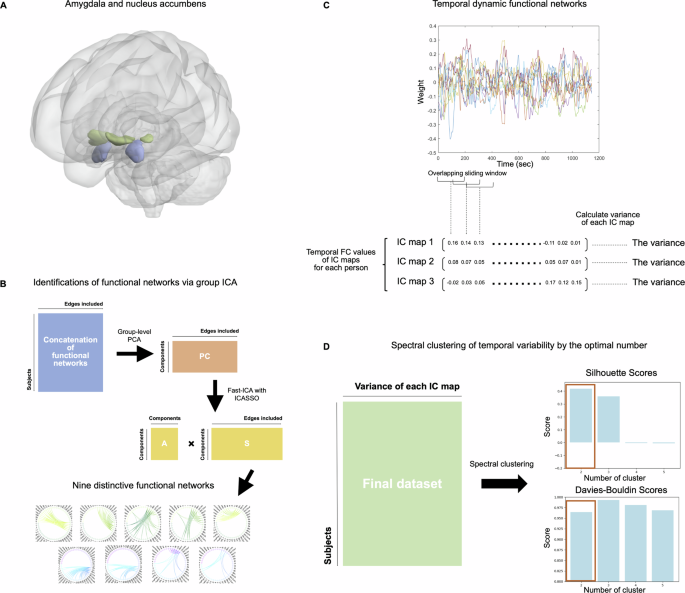 Identifying affective state via clustering of temporal variability in limbic activity and mediating role of negative emotion
