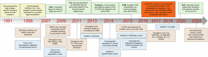 Advances in chemogenetics: a review of DREADDs and its application in ...