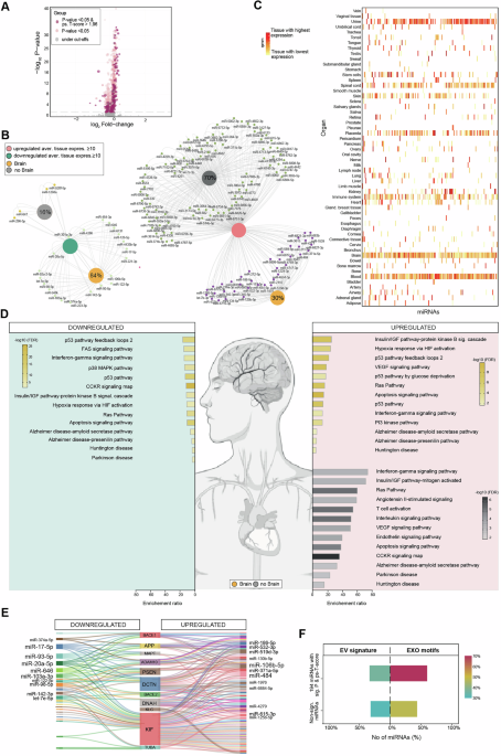 Rethinking Alzheimer’s: novel miRNAs illuminate a disease beyond the brain - Molecular Psychiatry