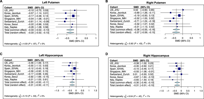 Brain structural abnormalities in treatment-resistant schizophrenia