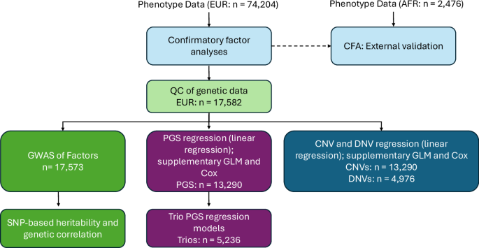 Common genetic variants are associated with increased likelihood of latent co-occurring neurodevelopmental and mental health factors among autistic individuals