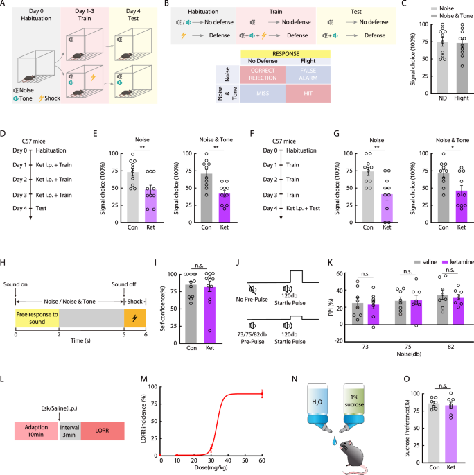 A circuit dissection of perception–action decoupling in S-ketamine-induced hallucination-like states