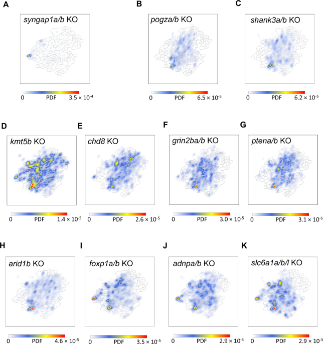 Zebrafish behavioral phenomics reveals functional subtypes of autism risk genes