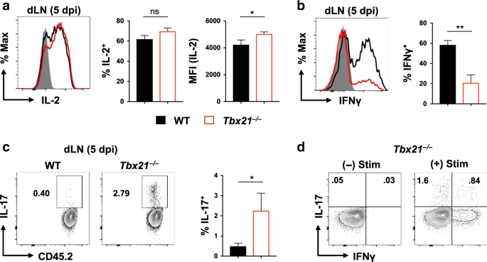 T-bet optimizes cd4 t-cell responses against influenza through cxcr3-dependent lung trafficking but not functional programming