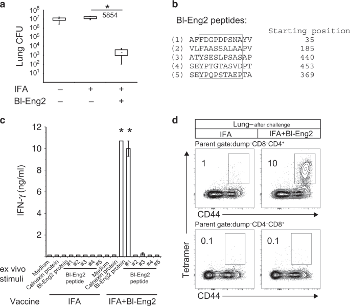 Antigen Discovery Unveils Resident Memory And Migratory Cell Roles In Antifungal Resistance Mucosal Immunology
