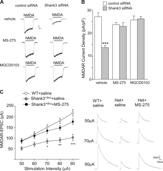 Treatment Restores Sociability In >> Histone Deacetylase Inhibitor Ms 275 Restores Social And Synaptic Treatment Restores Sociability In >> Histone Deacetylase Inhibitor Ms 275 Restores Social And Synaptic