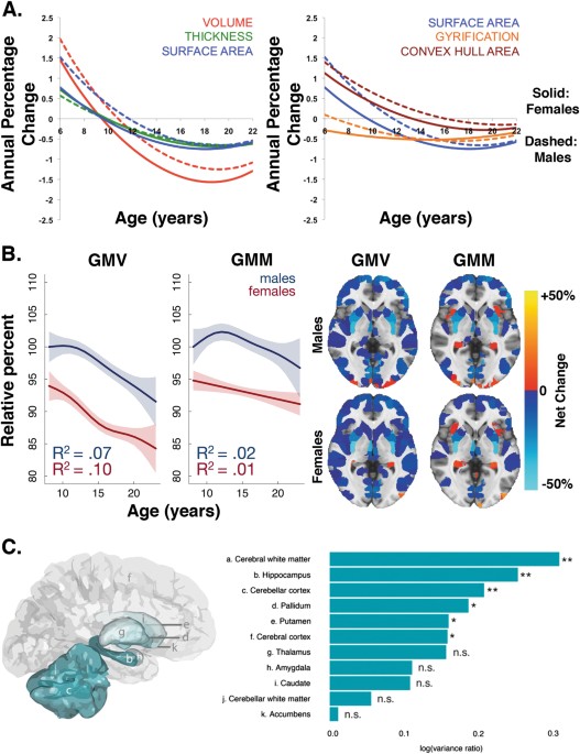 Gender Differences In Depression Appear >> Sex Differences In The Developing Brain Insights From Multimodal Gender Differences In Depression Appear >> Sex Differences In The Developing Brain Insights From Multimodal