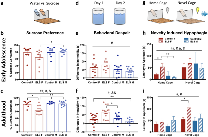 Gender Differences In Depression Appear >> Early Life Stress Leads To Sex Differences In Development Of Gender Differences In Depression Appear >> Early Life Stress Leads To Sex Differences In Development Of