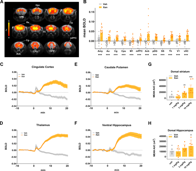 The M1/M4 preferring muscarinic agonist xanomeline modulates functional  connectivity and NMDAR antagonist-induced changes in the mouse brain |  Neuropsychopharmacology