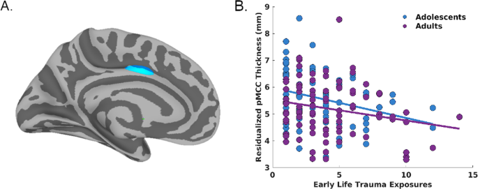 Distinct cortical thickness correlates of early life trauma exposure and  posttraumatic stress disorder are shared among adolescent and adult females  with interpersonal violence exposure