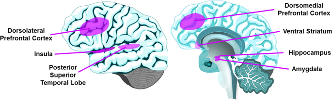 Different loneliness types, cognitive function, and brain structure in  midlife: Findings from the Framingham Heart Study - eClinicalMedicine