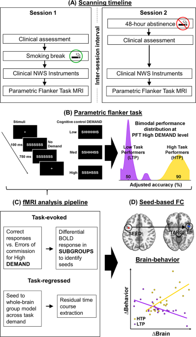 Not all smokers are alike: the hidden cost of sustained attention during  nicotine abstinence