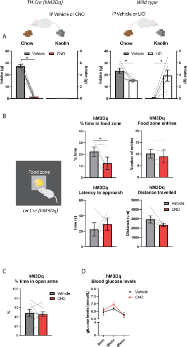 TrkB-expressing paraventricular hypothalamic neurons suppress appetite  through multiple neurocircuits