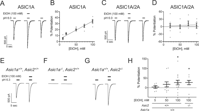 Intoxicating effects of alcohol depend on acid-sensing ion channels | Neuropsychopharmacology