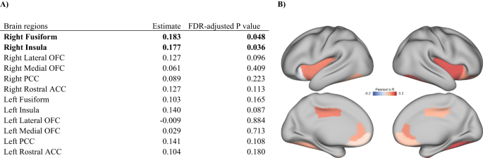 Associations between childhood ethnoracial minority density, cortical thickness, and social engagement among minority youth at clinical high-risk for psychosis