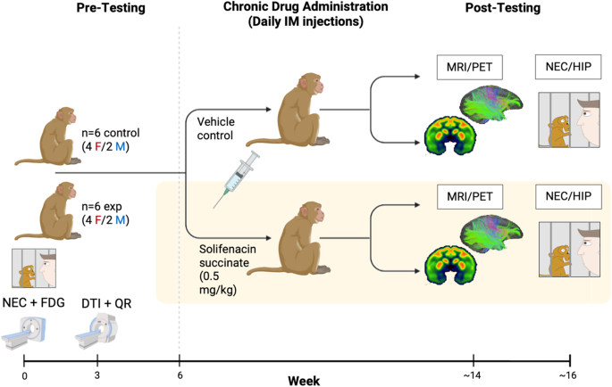 Monkey shortage imperils early-stage drug development timelines