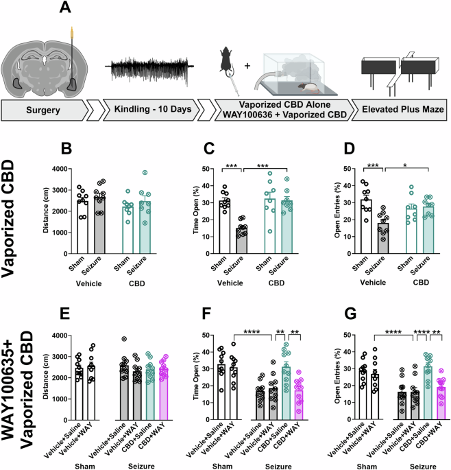 Phytocannabinoids restore seizureinduced alterations in emotional
