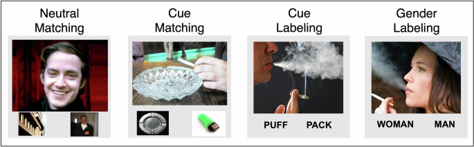 Cue labeling reduces cigarette craving and associated neural activity |  Neuropsychopharmacology