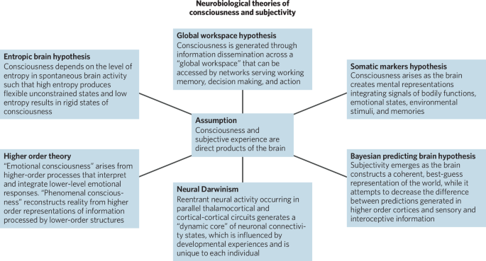Consciousness, subjectivity, and aging in western thought - Neuropsychopharmacology