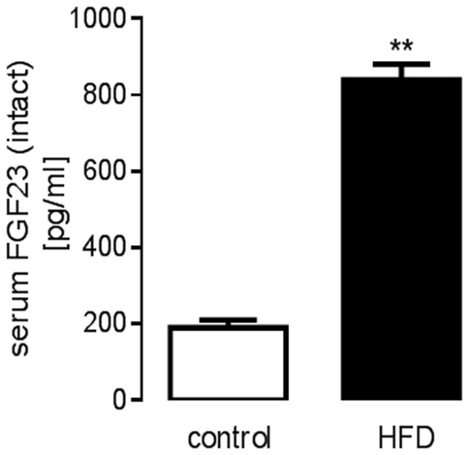 A high-fat diet stimulates fibroblast growth factor 23 formation