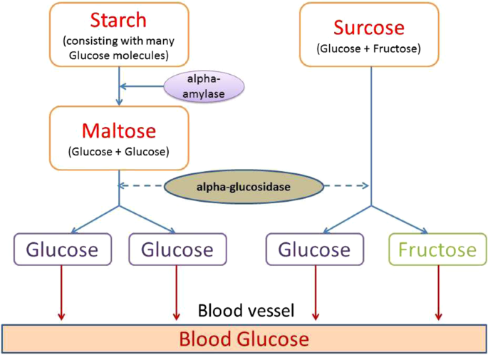 Inhibitory Effects Of Pu Erh Tea On Alpha Glucosidase And Alpha Amylase A Systemic Review Nutrition Diabetes Inhibitory Effects Of Pu Erh Tea On Alpha Glucosidase And Alpha Amylase A Systemic Review Nutrition Diabetes