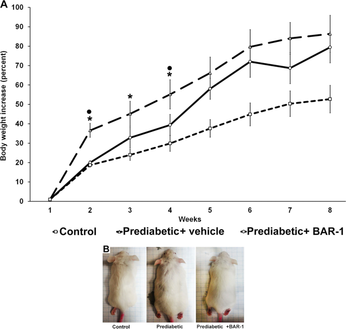 Novel Cb1 Receptor Antagonist Bar 1 Modifies Pancreatic Islet Function And Clinical Parameters In Prediabetic And Diabetic Mice Nutrition Diabetes