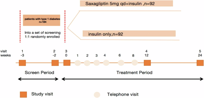 Heterogeneous effect of saxagliptin on glucose fluctuation and β-cell function in T1DM: a multicentre, randomised trial - Nutrition & Diabetes